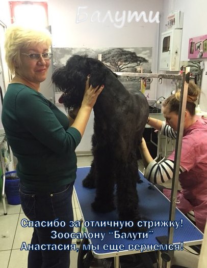 Тату единорог оригами Тату единорог оригами